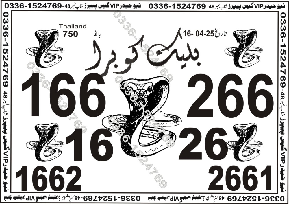New Haider Vip guess papers