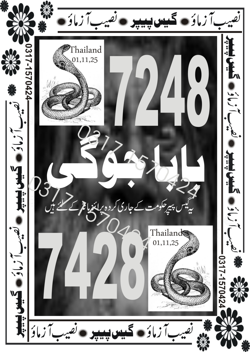 Punjab VIP Special Guess Papers