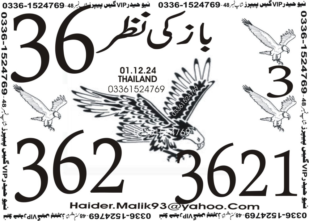 New Haider Vip guess papers