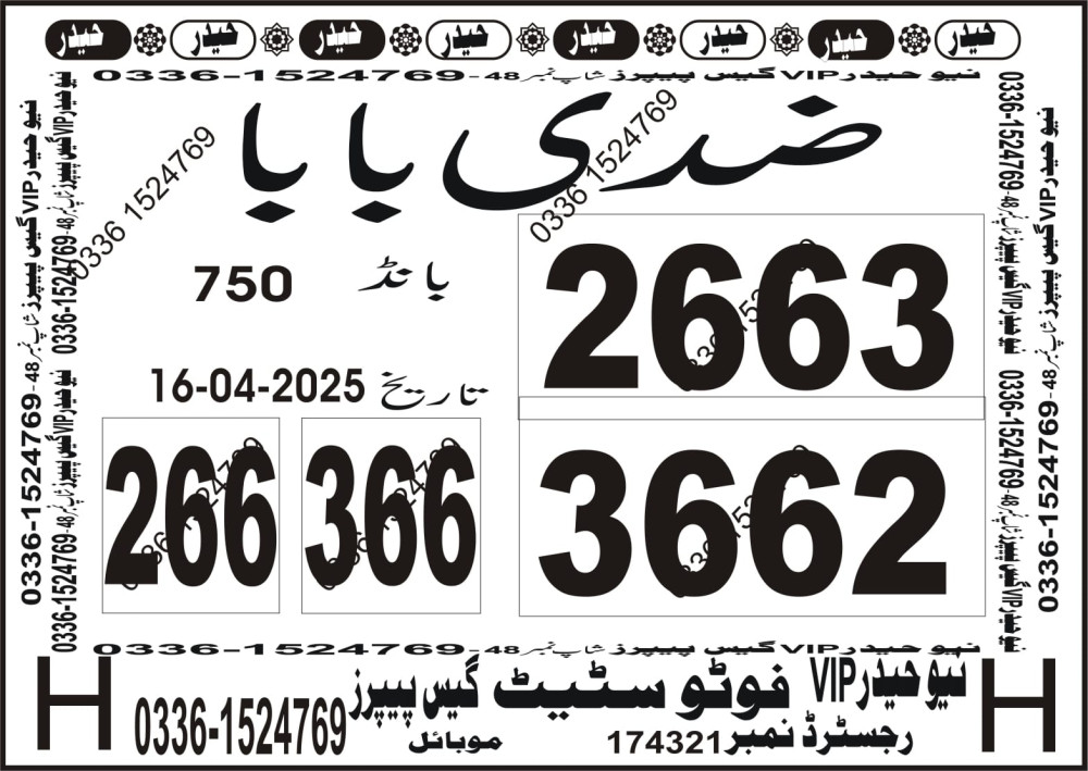 New Haider Vip guess papers