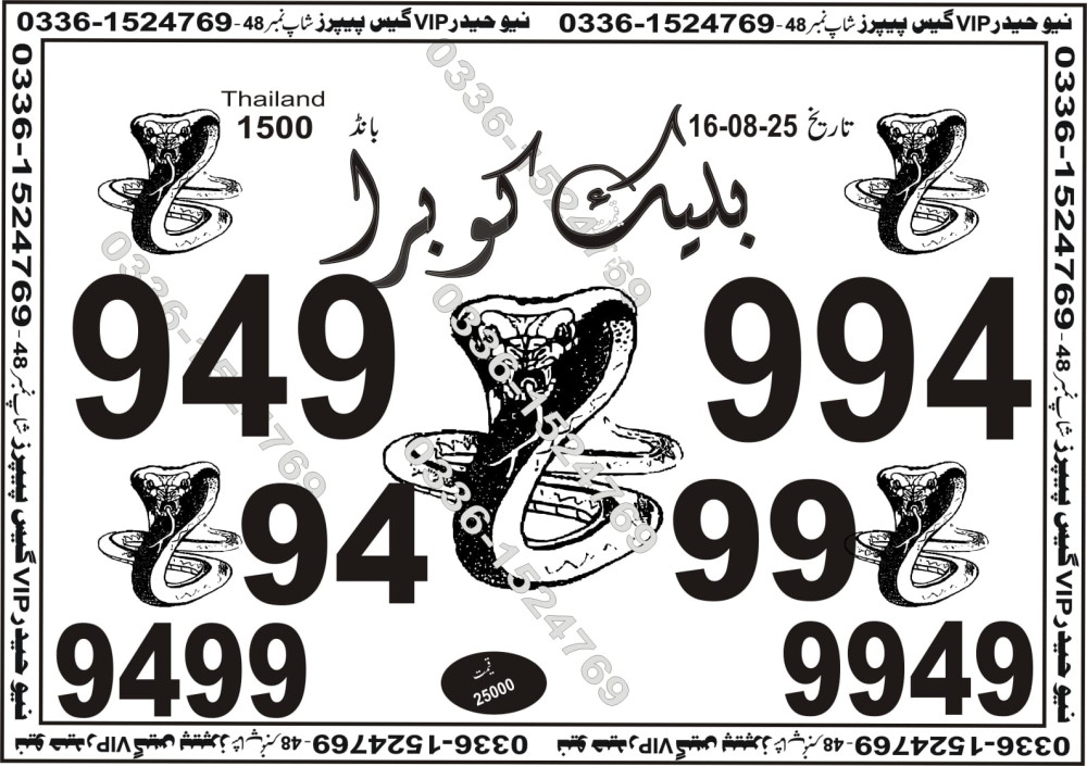New Haider Vip guess papers