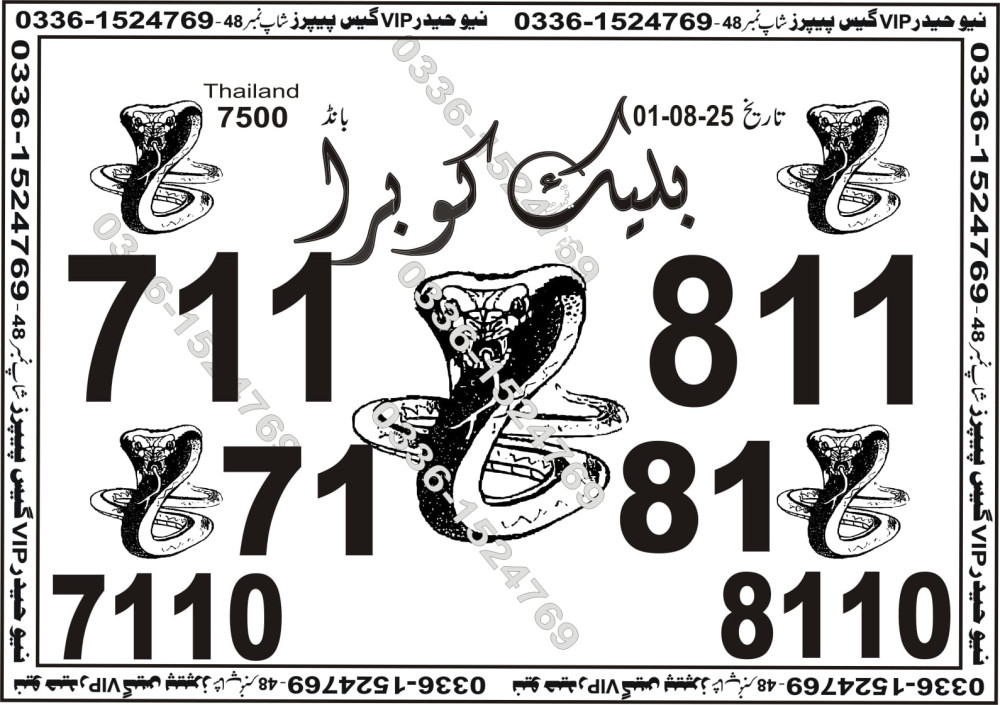 New Haider Vip guess papers