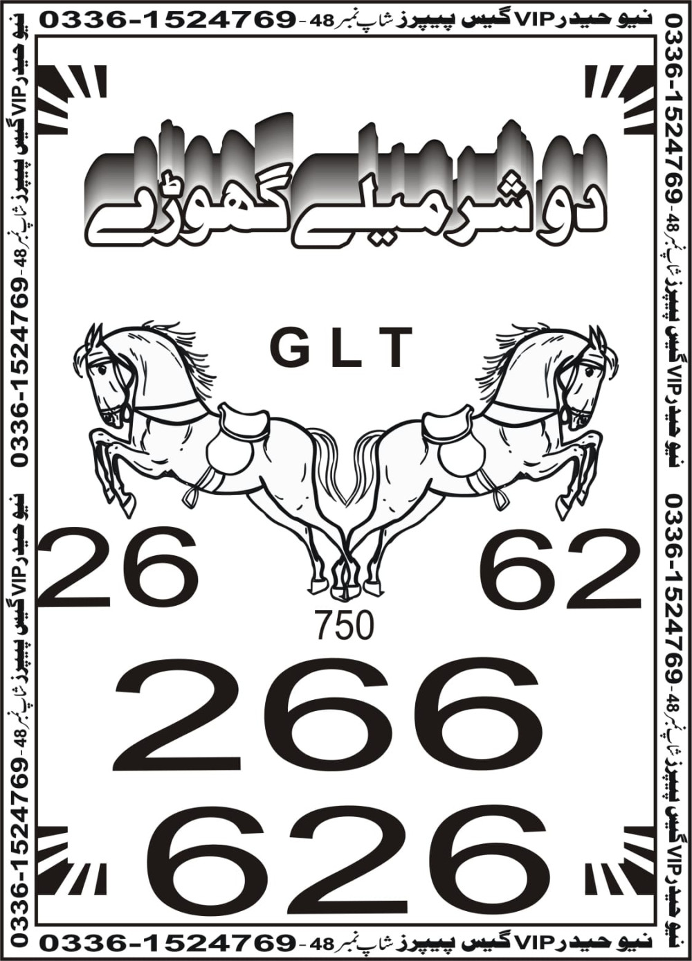 New Haider Vip guess papers