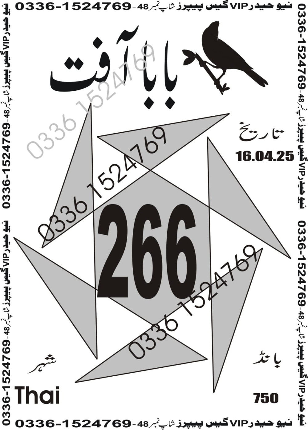 New Haider Vip guess papers