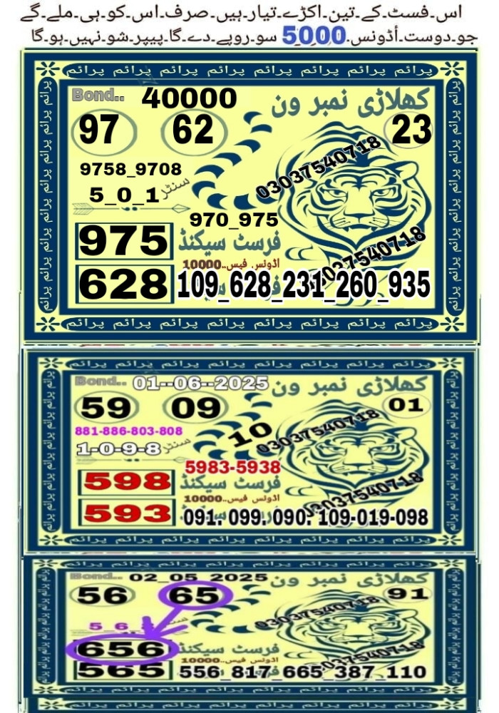 Tayyab